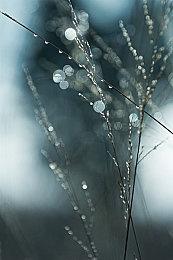 《战地6》全新中文先导预告公开！正式版将于晚23点发布